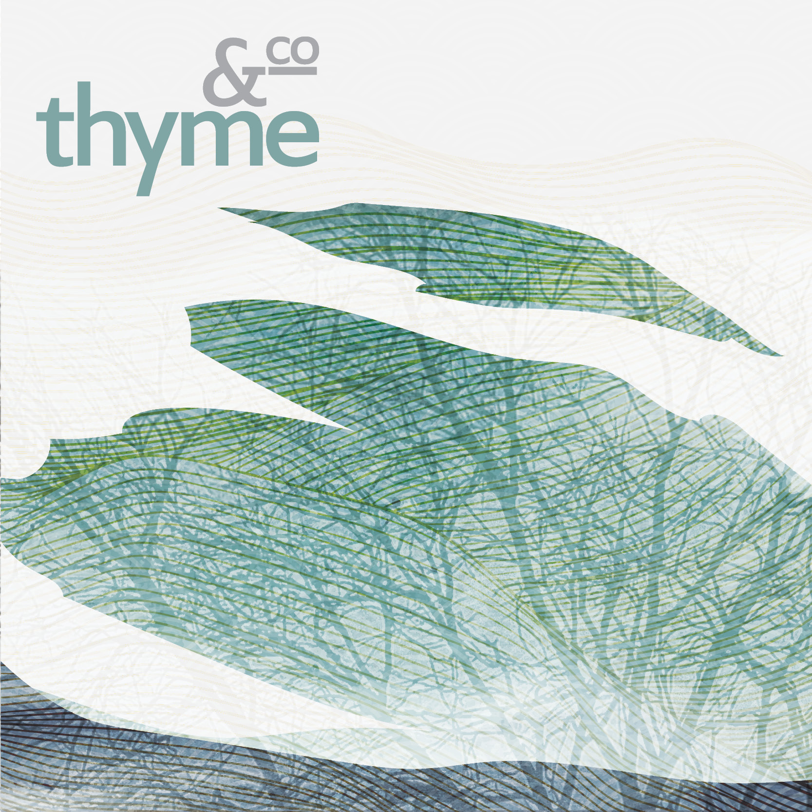 THYME & CO