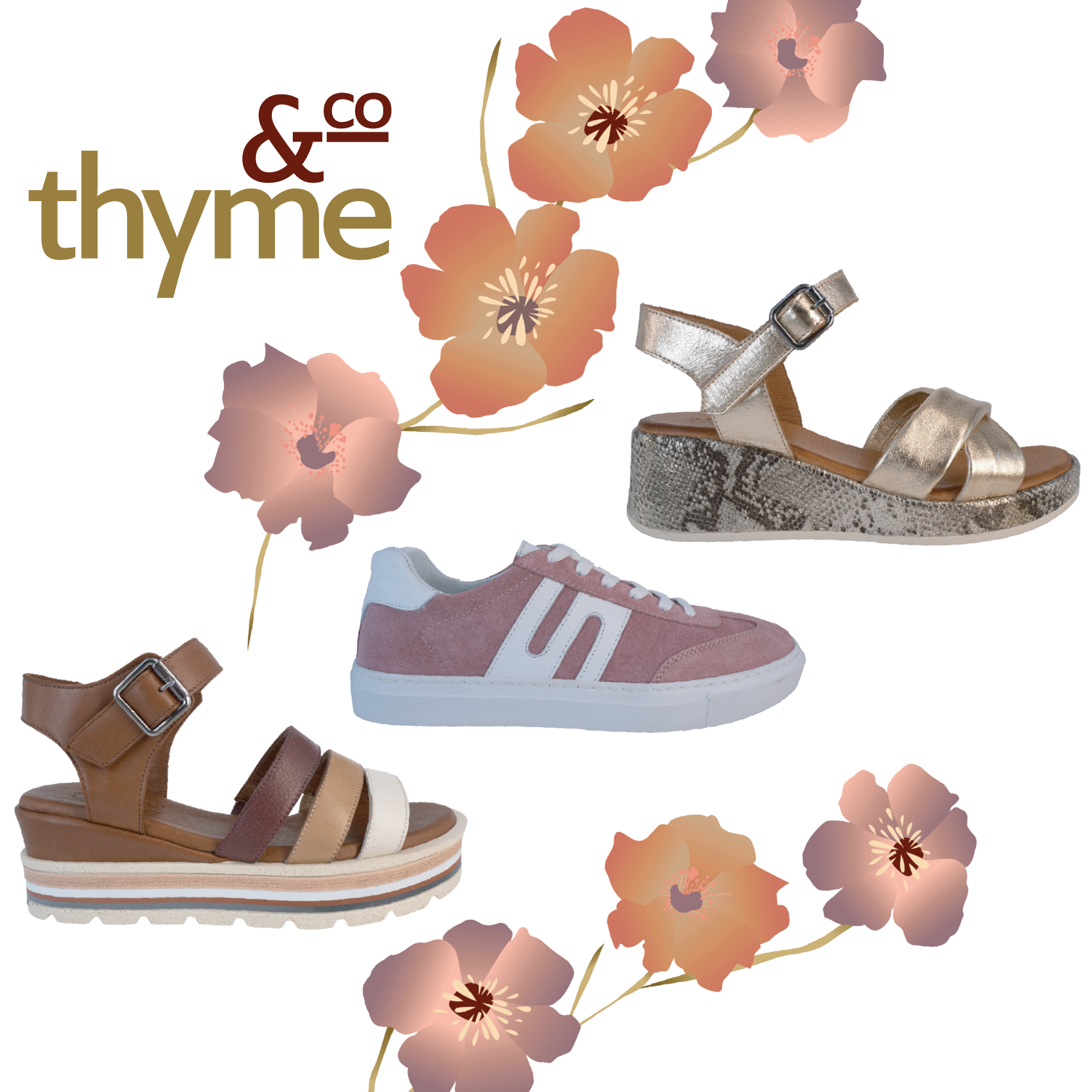 THYME & CO